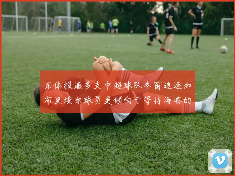 东体报道多支中超球队冬窗追逐加布里埃尔球员更倾向于等待海港的机会